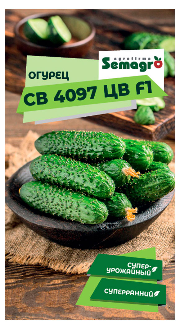 

Семена Seminis Огурец Партенокарпик 4097, 5 шт