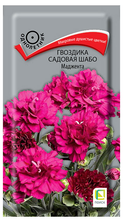 

Семена Поиск Гвоздика садовая Шабо Маджента, 0,1 г