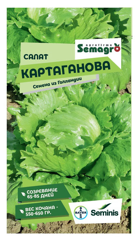 

Семена Seminis Салат Картаганова, 20 шт