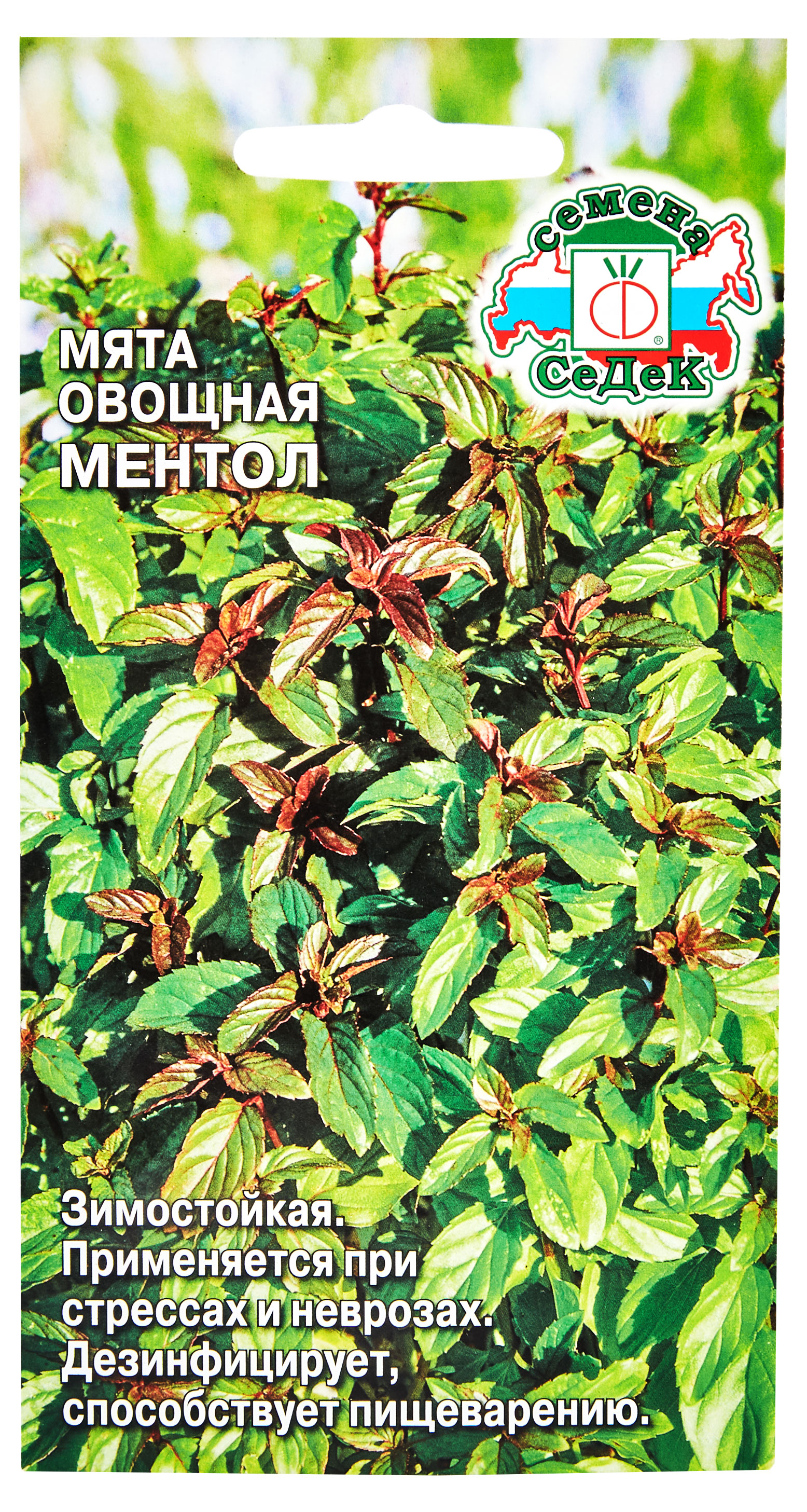 

Семена СеДеК Мята овощная Ментол
