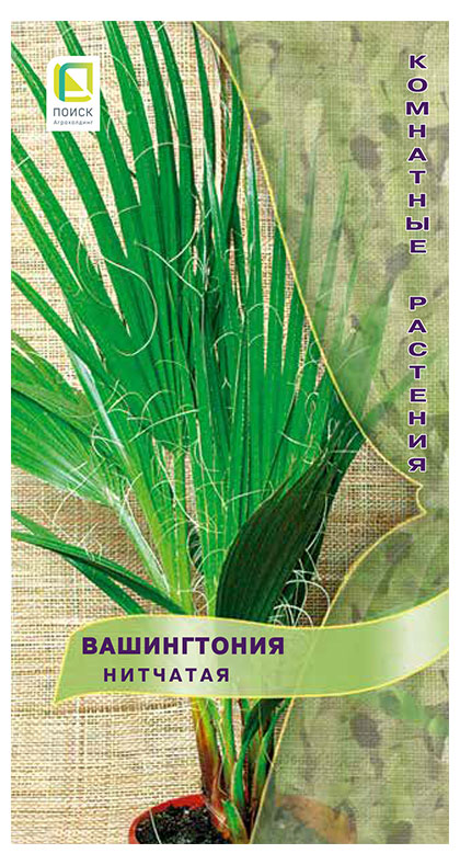 

Семена Поиск Вашингтония Нитчатая, 3 шт