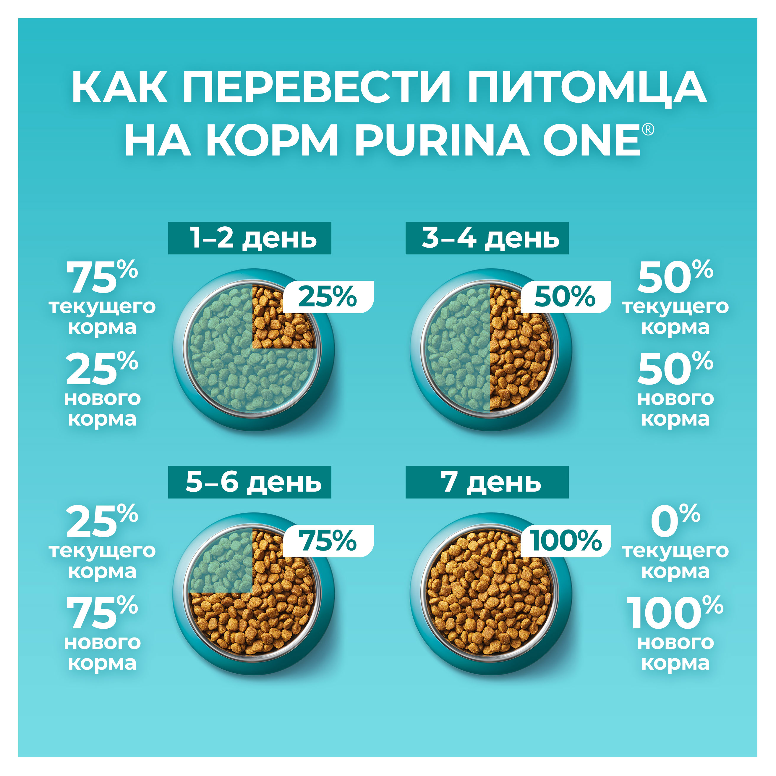 https://www.auchan.ru/files/original/30447408