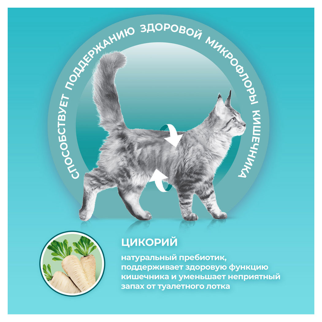 https://www.auchan.ru/files/original/30593748