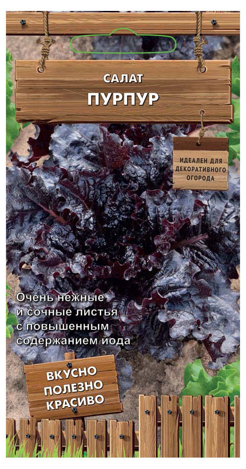 

Семена Поиск Салат Пурпер, 1 г