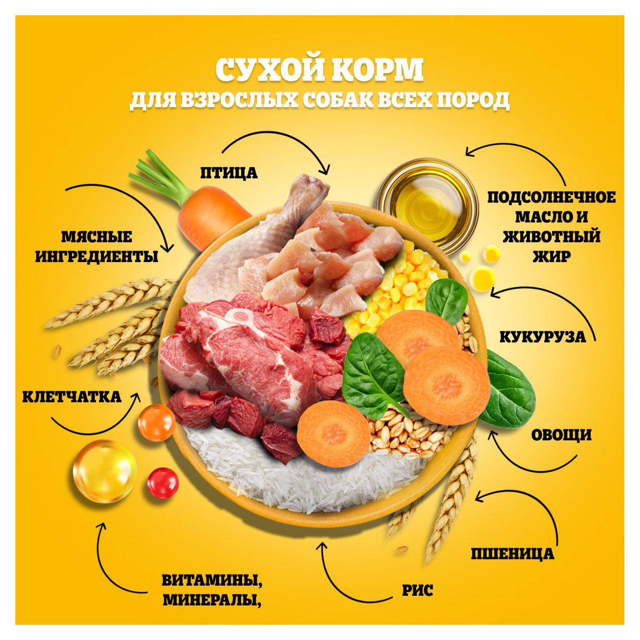 https://www.auchan.ru/files/original/31353692