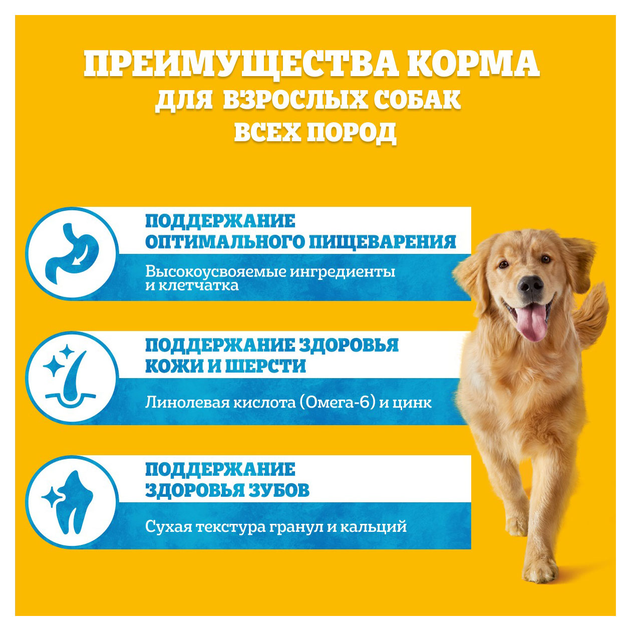 https://www.auchan.ru/files/original/31353788