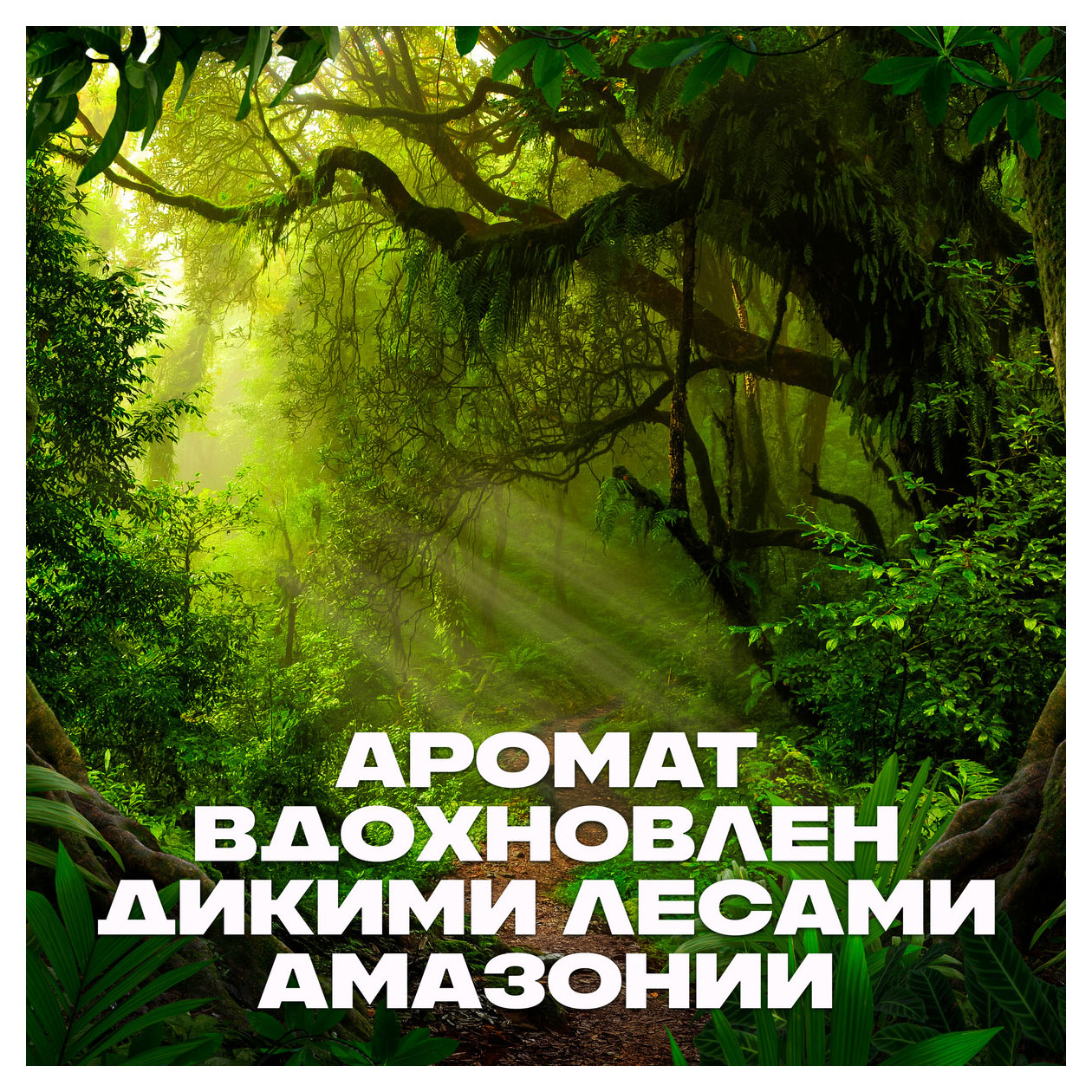 https://www.auchan.ru/files/original/31828120