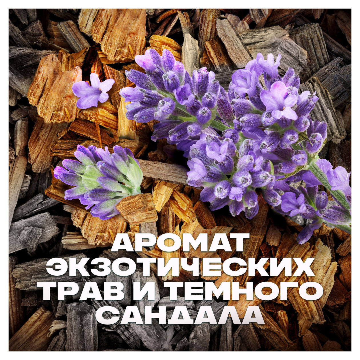 https://www.auchan.ru/files/original/31828132
