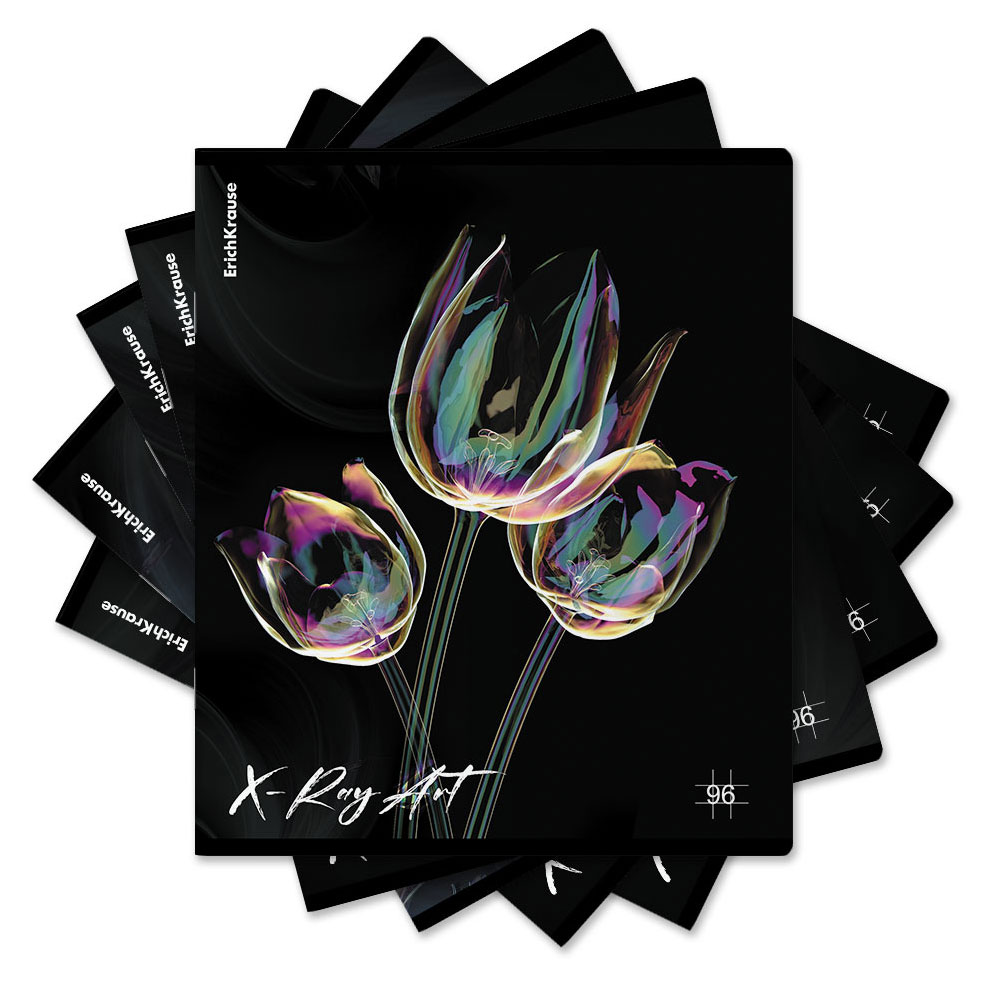 

Тетрадь общая ErichKrause X-Ray Art на скобе в клетку А5, 96 л
