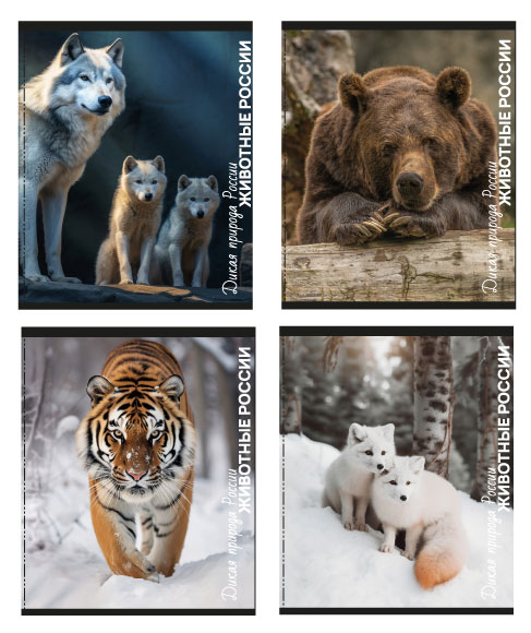 

Тетрадь Centrum Животные России в клетку на скобе А5, 96 л