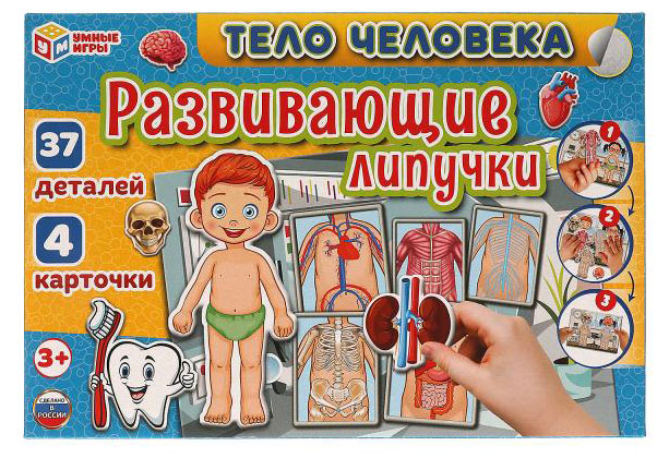 

Развивающая игра Умные игры с липучками Тело человека