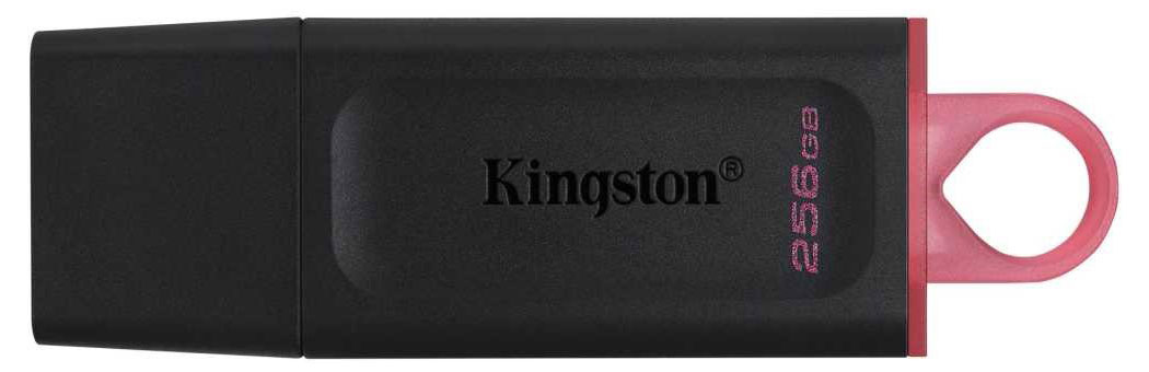 

Флеш Диск Kingston 256GB