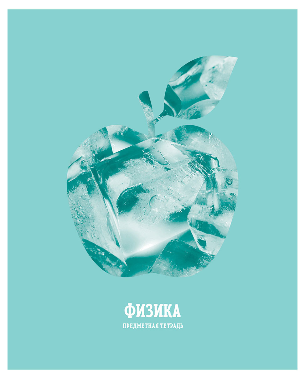 

Тетрадь предметная BG Подсказки Физика клетка А5, 48 л