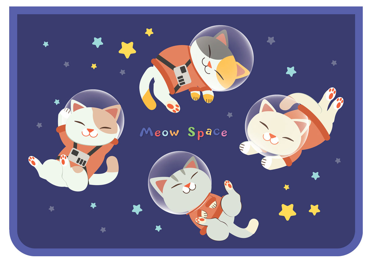 

Папка для труда ArtSpace Space cat 2 отделения А4 пластик на молнии
