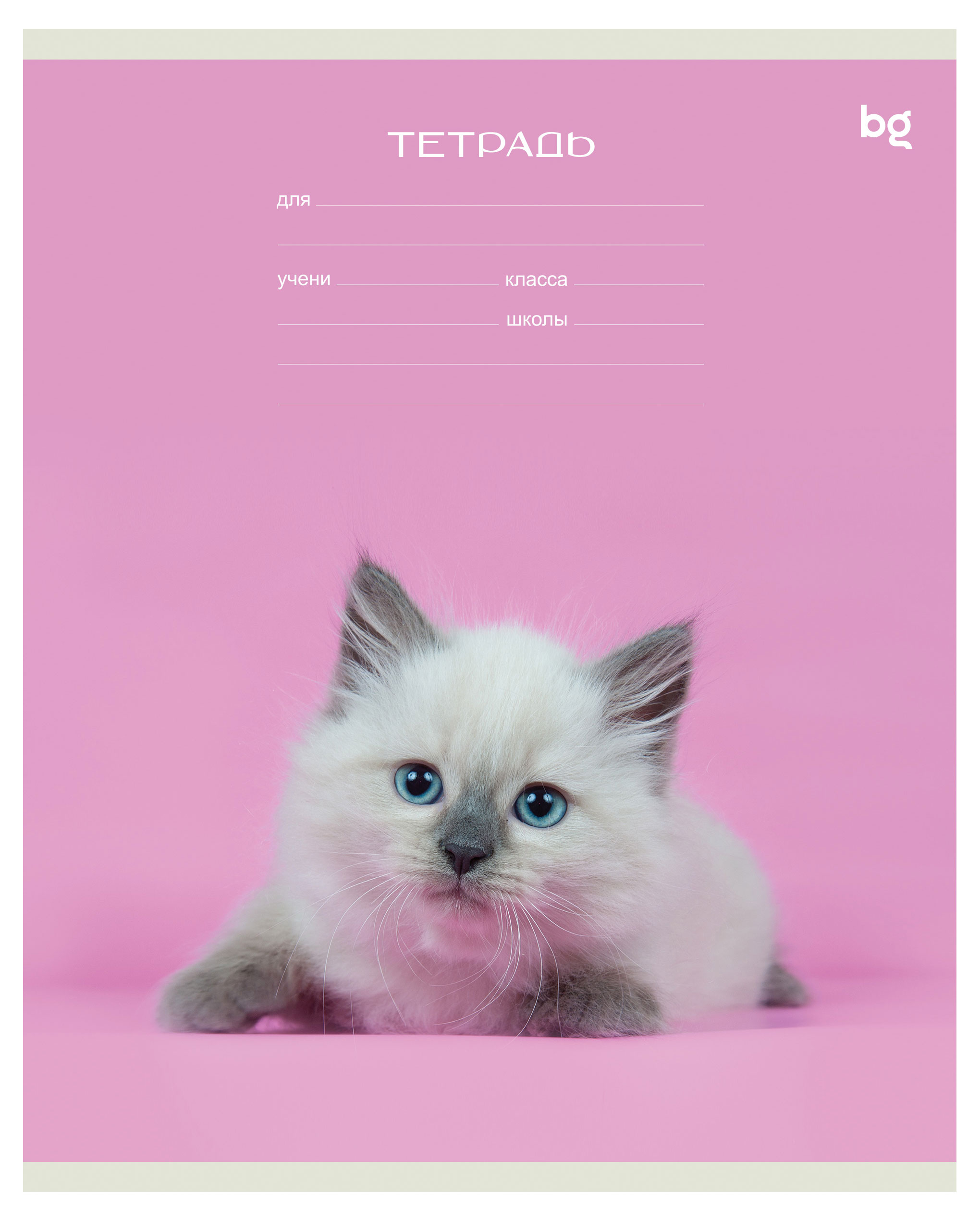 

Тетрадь BG Котики линия А5, 18 л