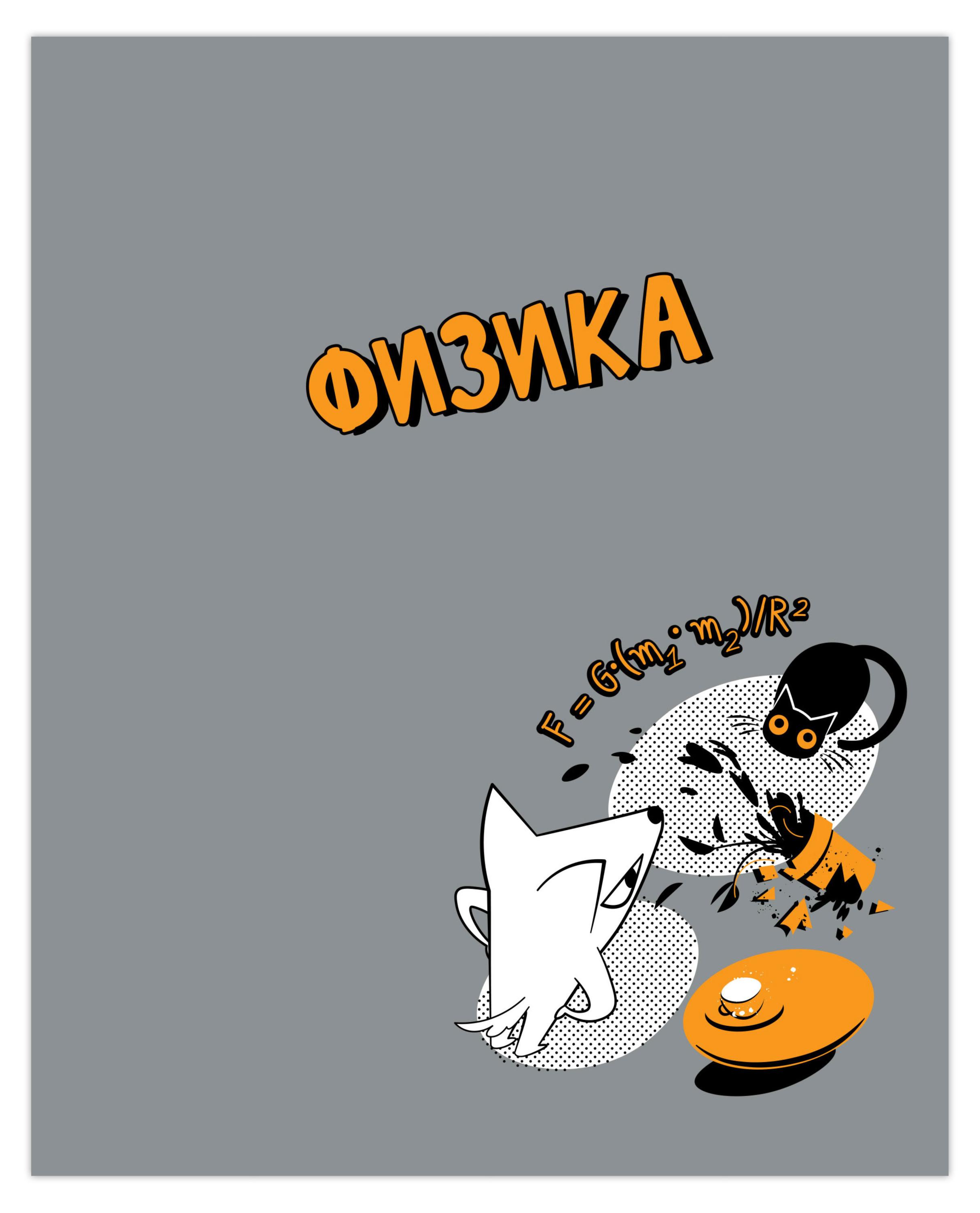 

Тетрадь предметная Academy Style Физика клетка А5, 48 л