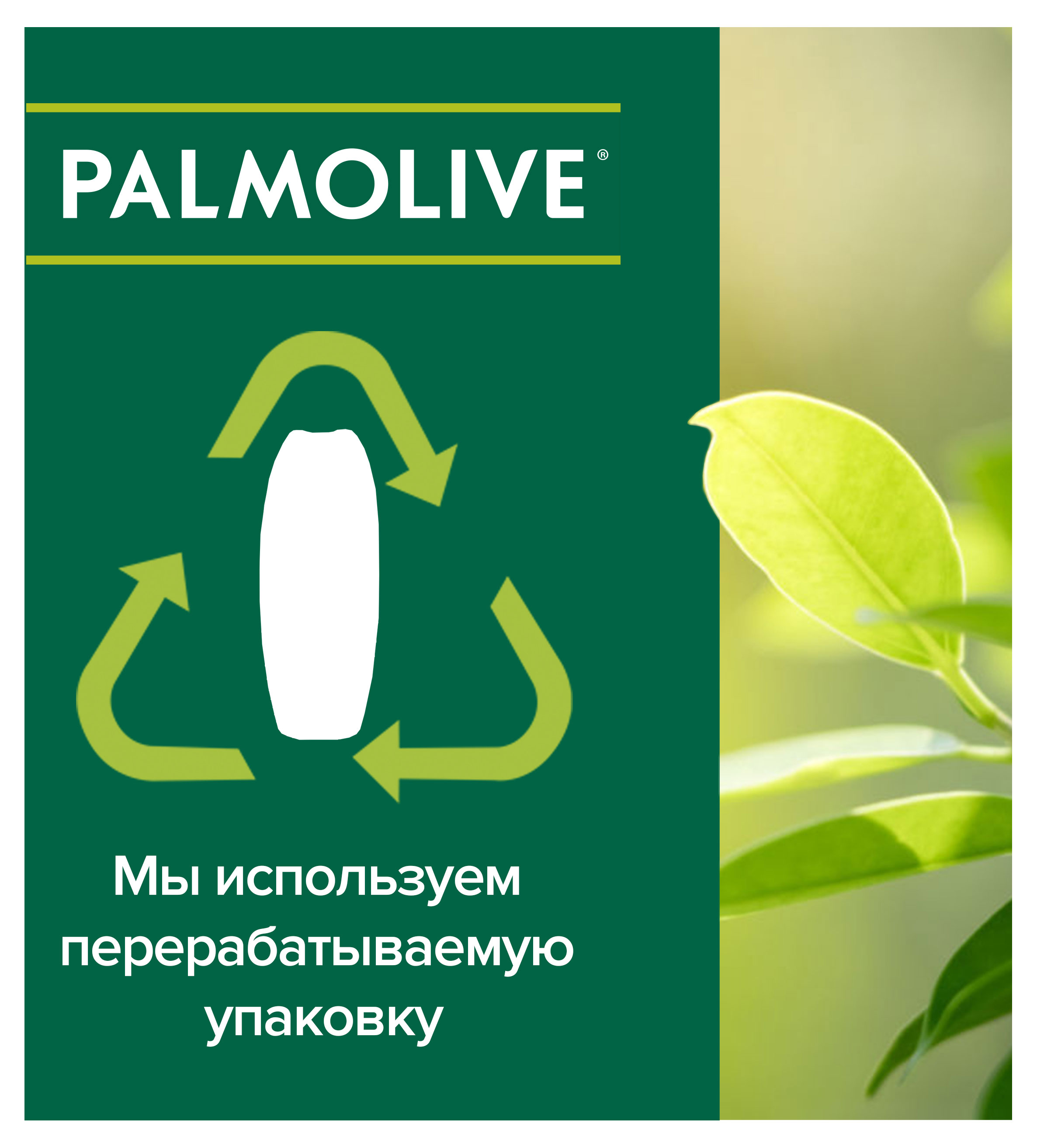https://www.auchan.ru/files/original/32262932