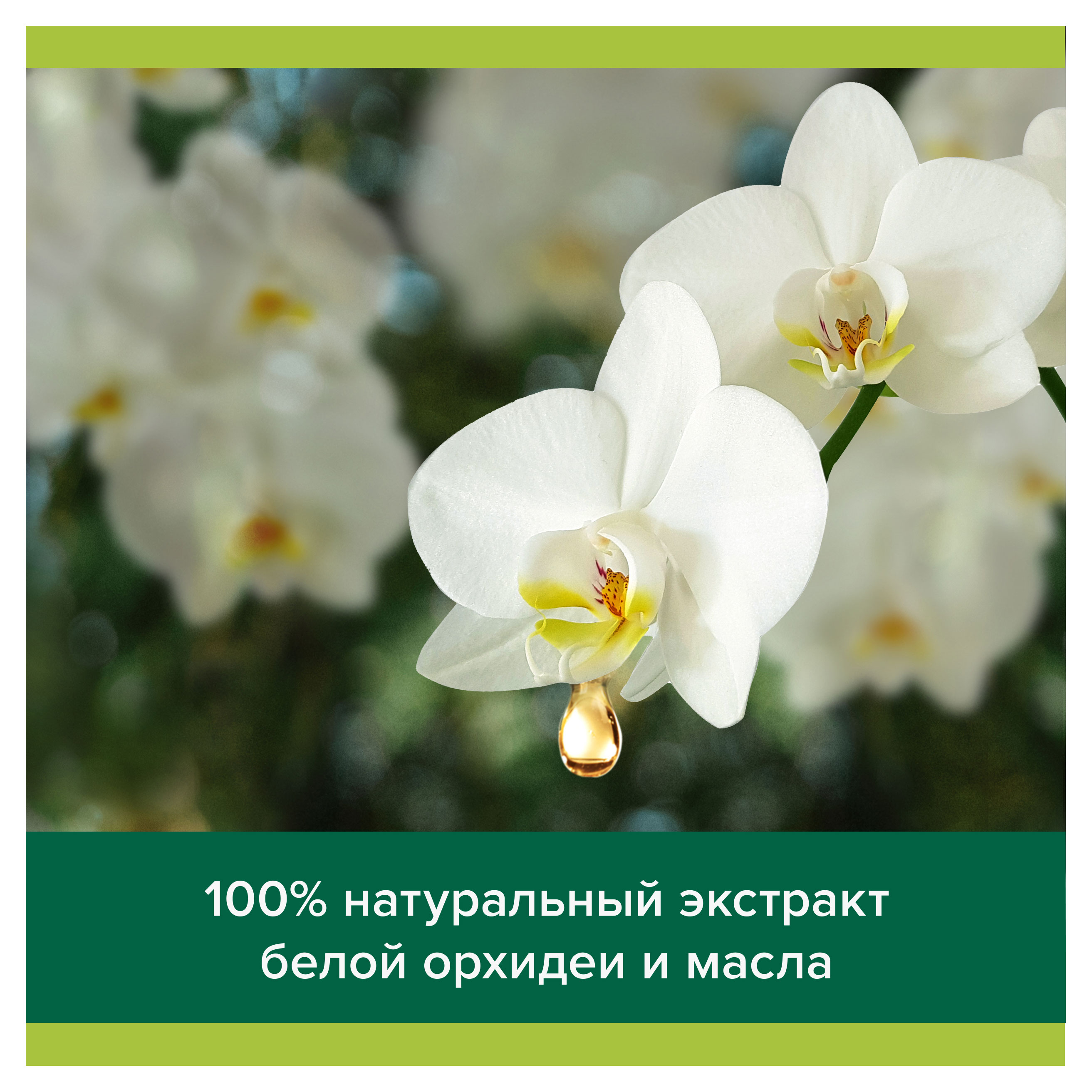 https://www.auchan.ru/files/original/32270480