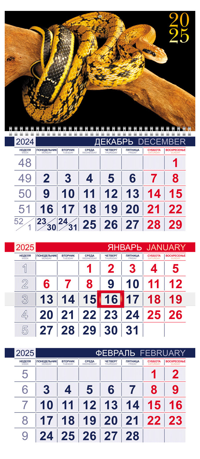 

Календарь квартальный Hatber Год змеи 3-х блочный на 1 гребне с бегунком 2025 г, 298х690 мм