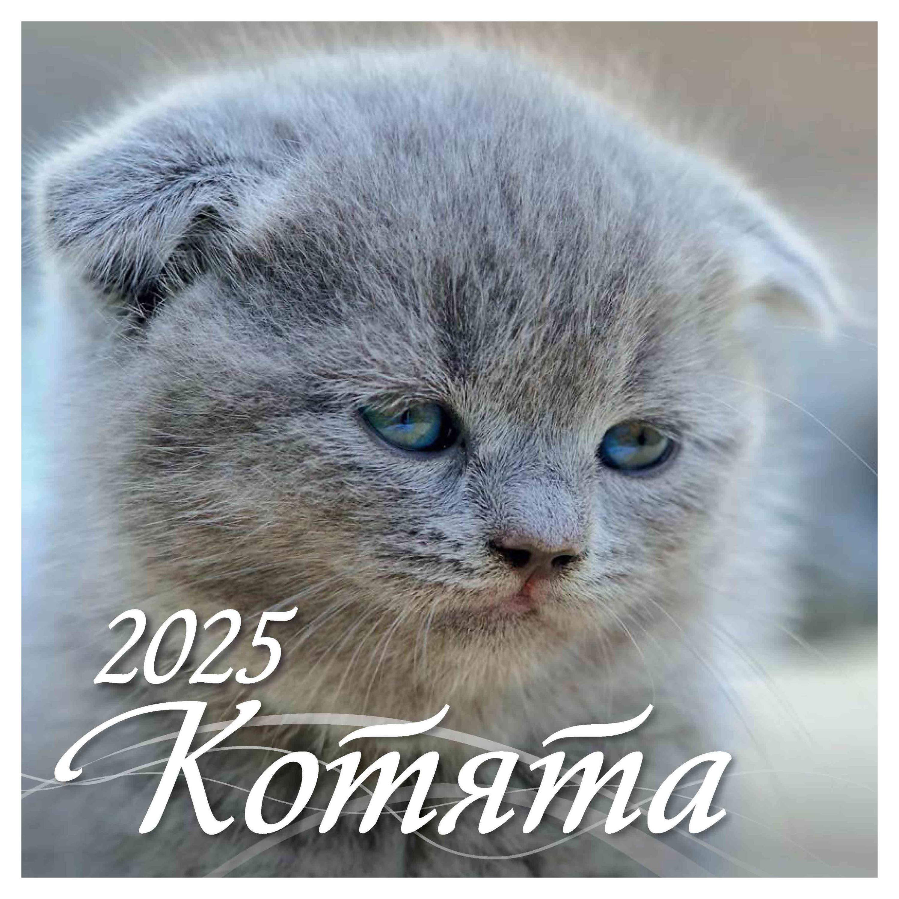 

Календарь настенный перекидной Дитон Котята 12-листовой на скрепке 2025 г, 285х285 мм