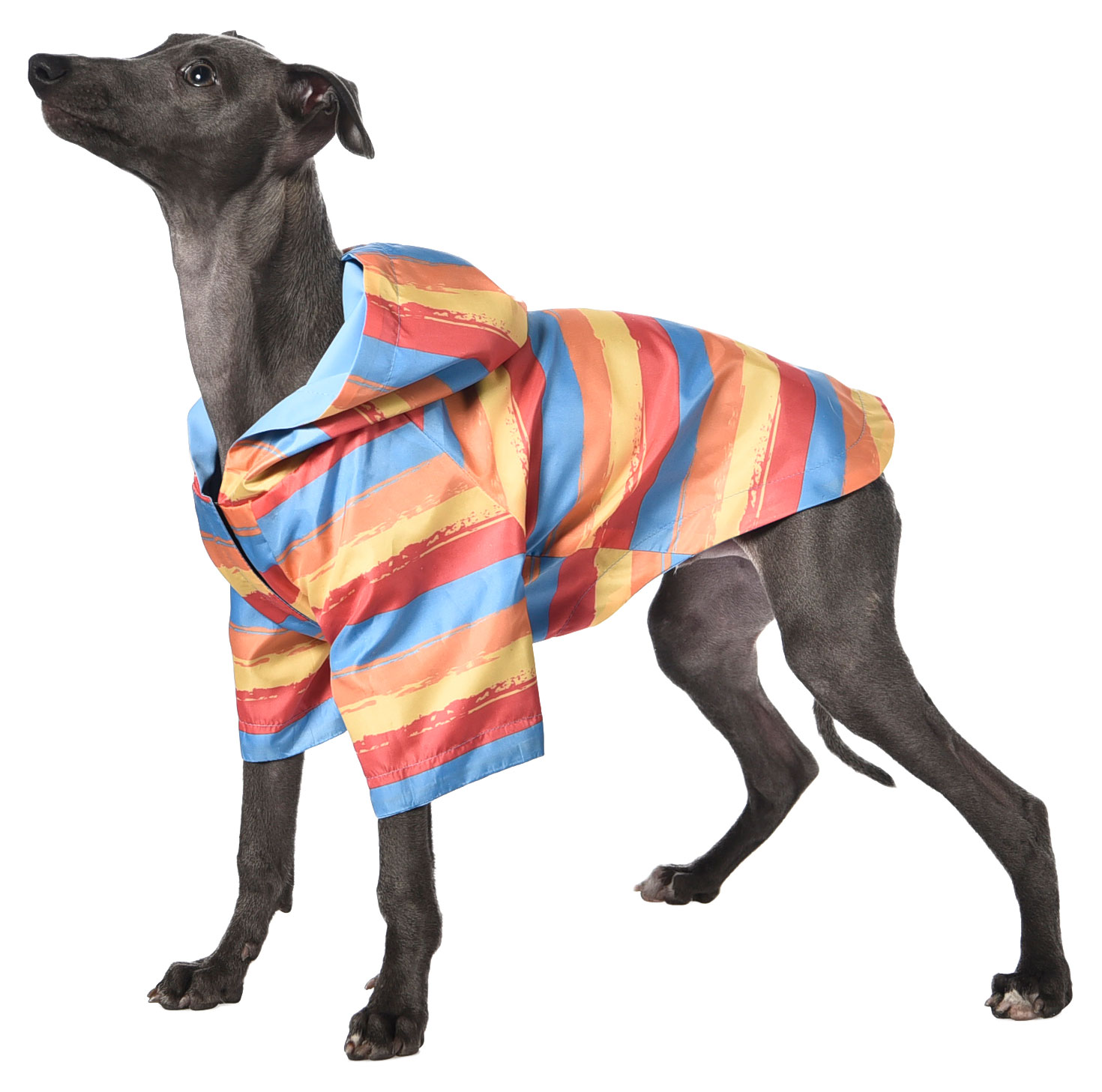 Изображение товара Двусторонний дождевик для собак 25 см защитный стильный и удобный