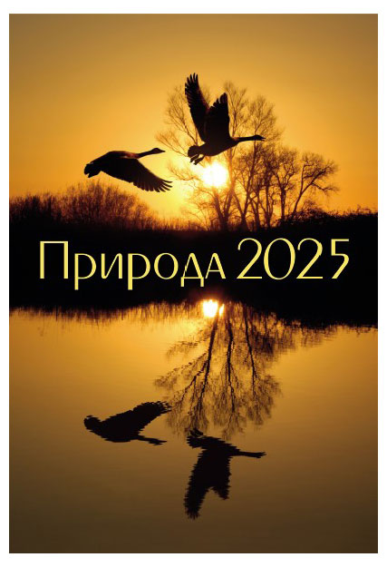 

Календарь настенный на спирали ND PLAY Природа 2025