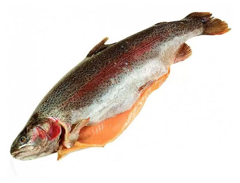 

Форель охлажденная потрошеная с головой, вес