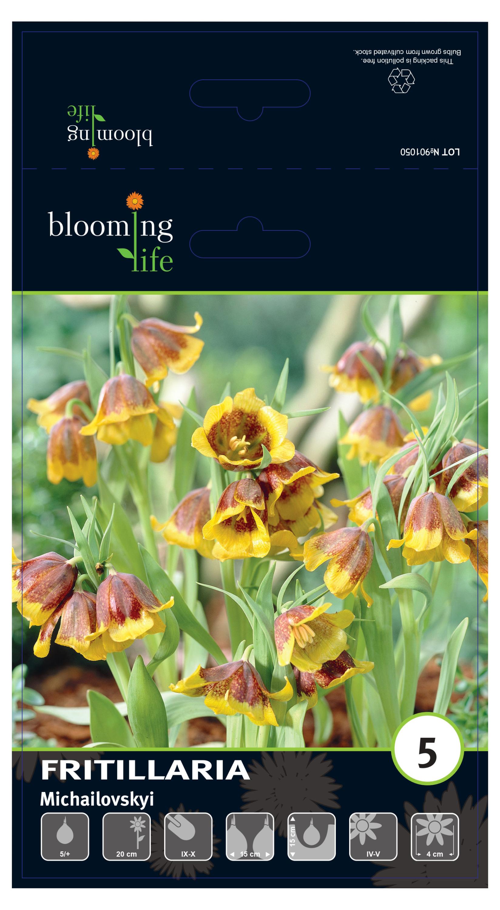 

Луковицы Флора групп Рябчик Михайловского, 5 шт