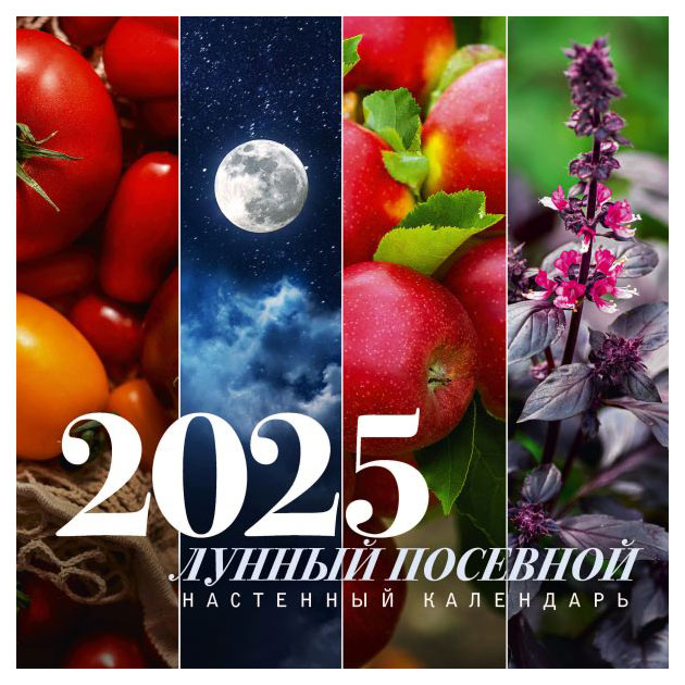 

Календарь настенный АСТ Лунный посевной на 2025 г