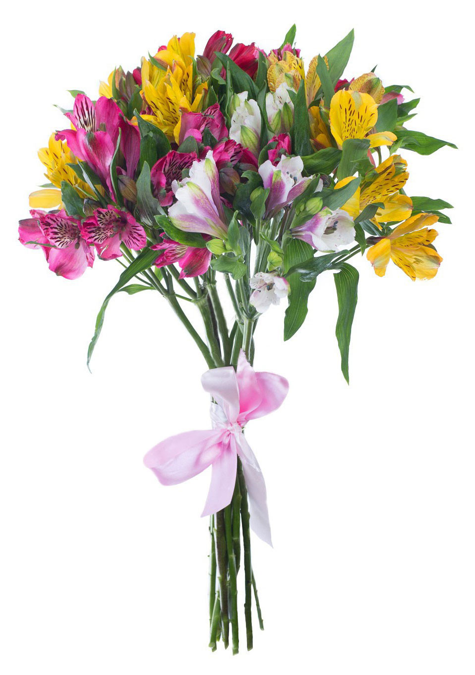 

Букет живых срезанных цветов из 5 альстромерий в упаковке в ассортименте, 1 шт