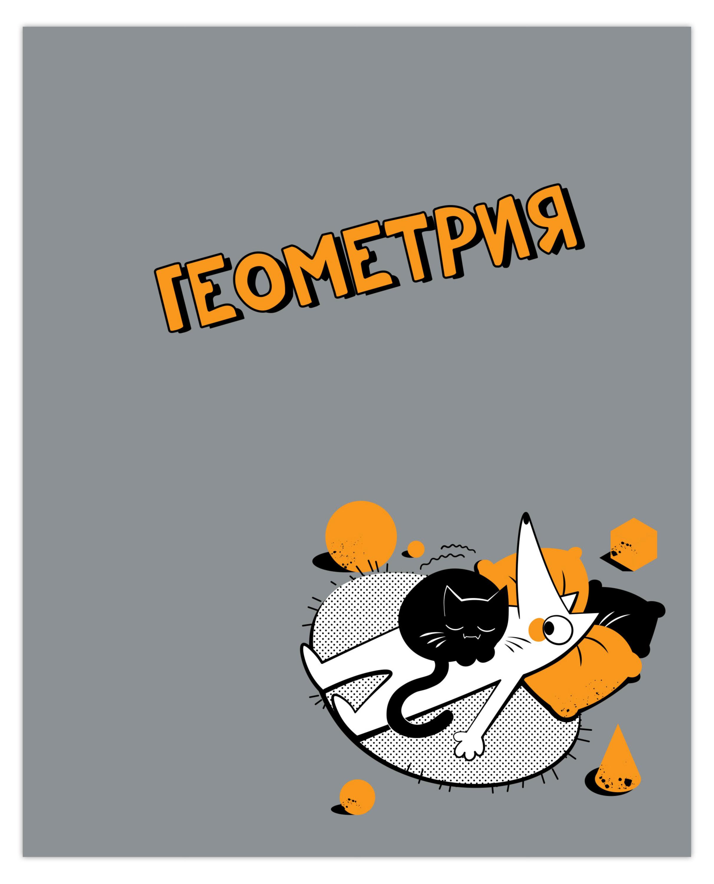 

Тетрадь предметная Academy Style Геометрия клетка А5, 48 л