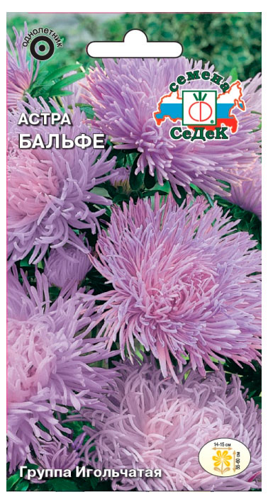 

Семена СеДеК Цветок Астра Бальфе,1 шт