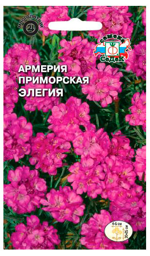 

Семена СеДеК Цветок Армерия Элегия,1 шт