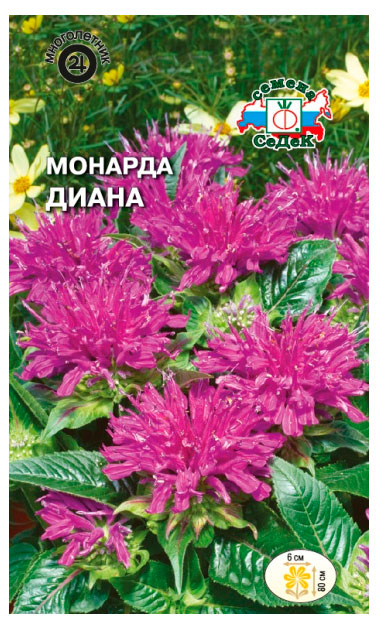 

Семена СеДеК Цветок Монарда Диана,1 шт