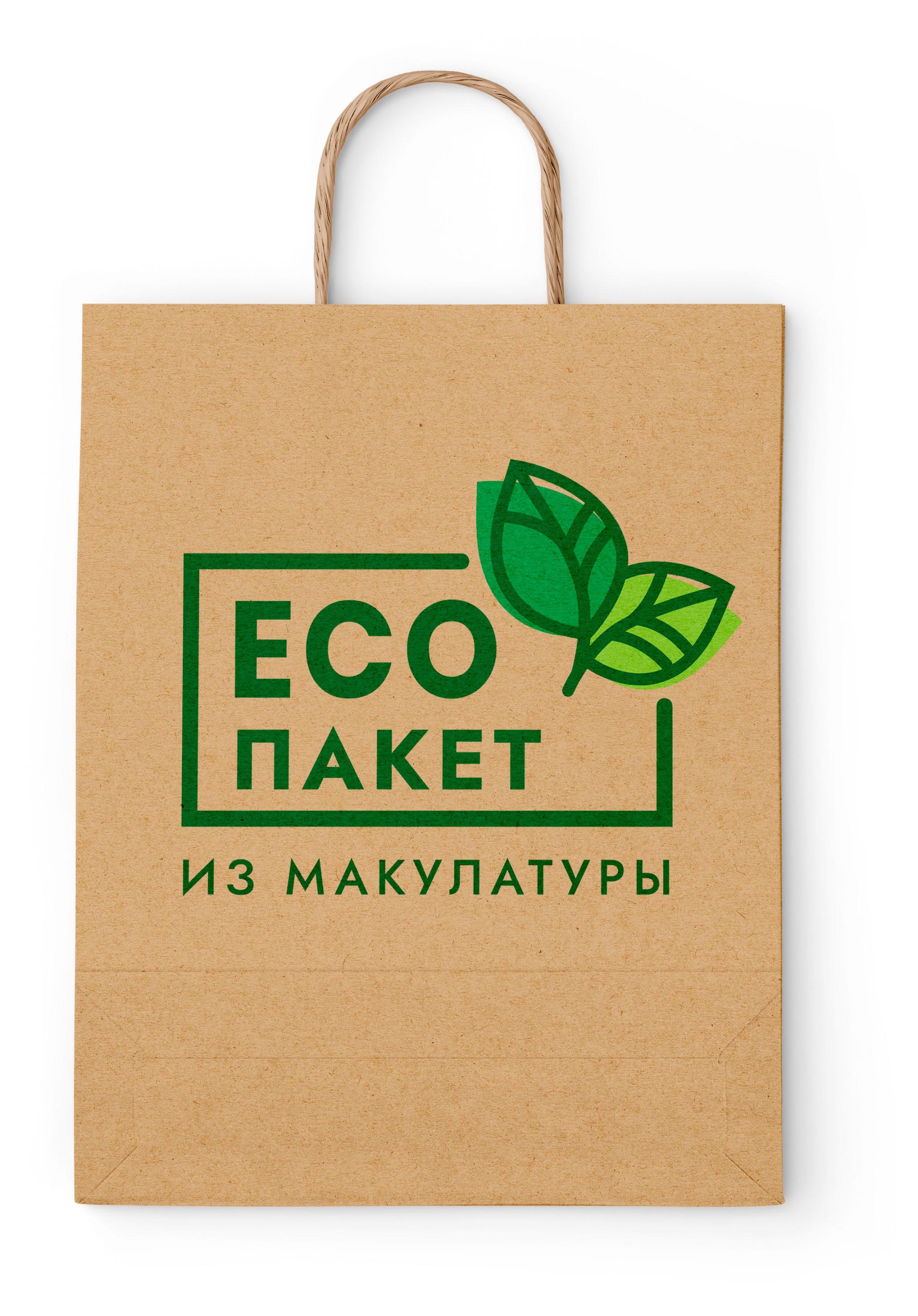 

Пакет бумажный Эко, 25х22х12 см