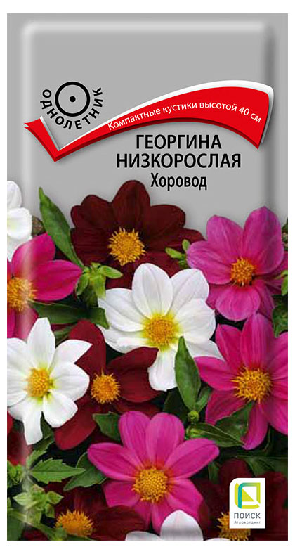 

Семена Поиск Георгина низкорослая Хоровод, 10 шт