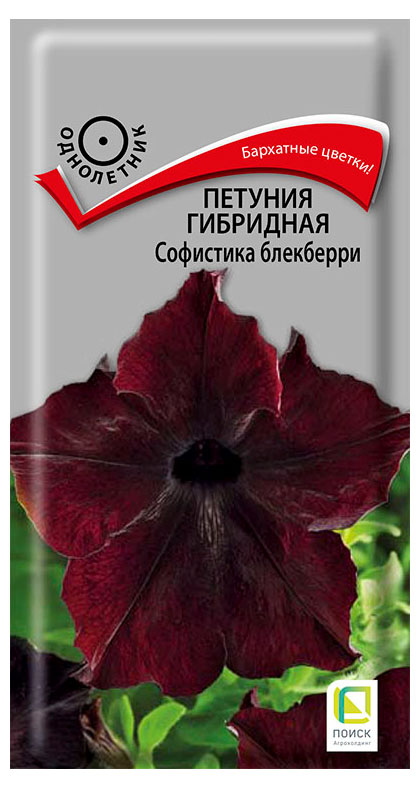 

Семена Поиск Петуния гибридная Софистика Блекберри
