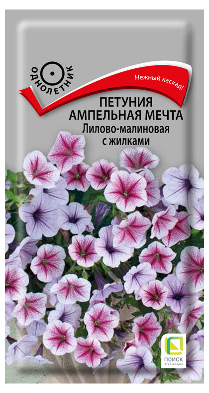 

Семена Поиск Петуния ампельная Лилово-малиновая с жилками