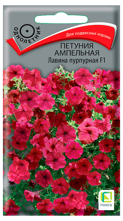 

Семена Поиск Петуния ампельная Лавина пурпурная, 10 шт
