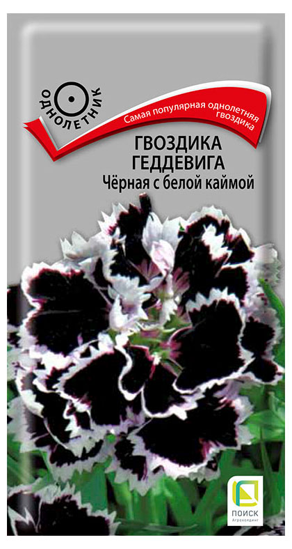 

Семена Поиск Гвоздика Геддевига Черная с белой каймой, 0,04 г