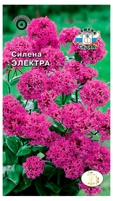 

Семена СеДеК Цветок Силена Электра, 0,1 г