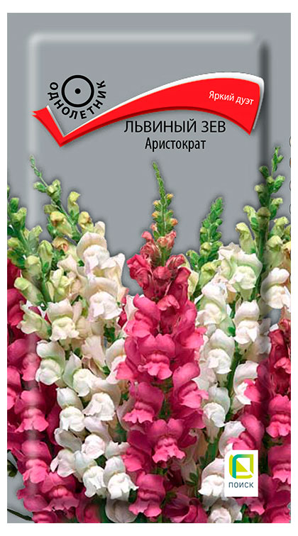 

Семена Поиск Львиный зев Аристократ, 0,1 г