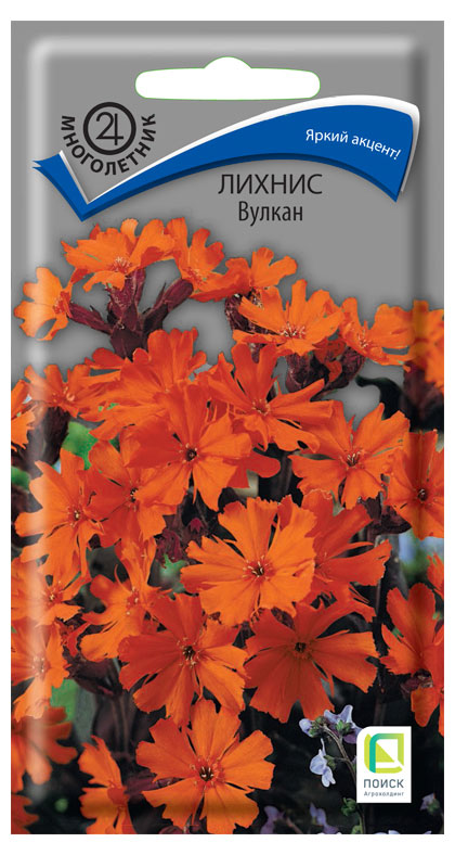 

Семена Поиск Лихнис Вулкан, 0,1 г