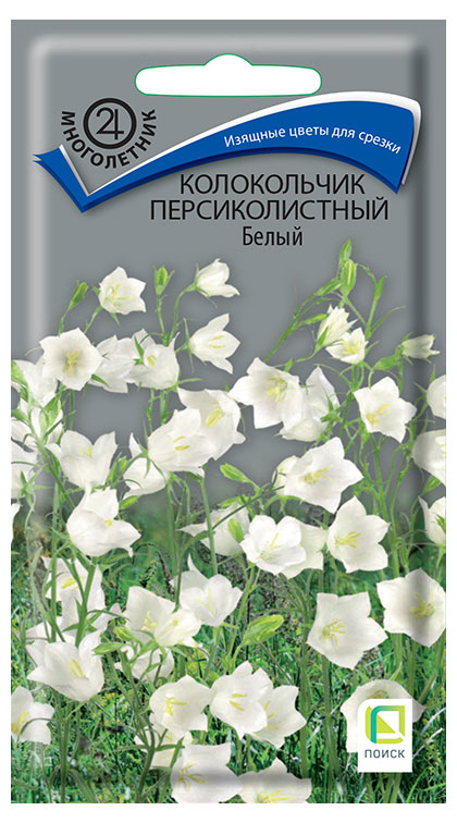 

Семена Поиск Колокольчик персиколистный Белый