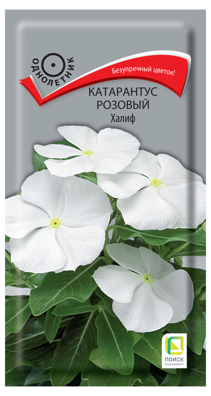 

Семена Поиск Катарантус розовый Халиф, 0,1 г