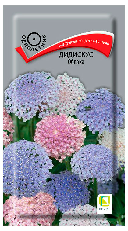 

Семена Поиск Дидискус Облака, 0,05 г