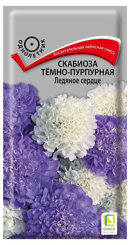 Изображение товара Семена «Поиск» Скабиоза темно-пурпурная Ледяное сердце, 10 шт