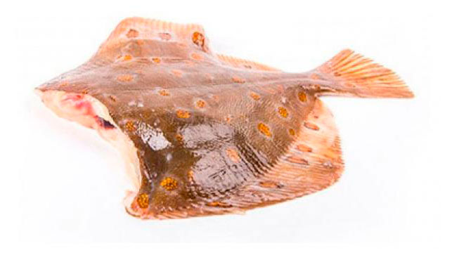 

Камбала охлажденная потрошеная, вес