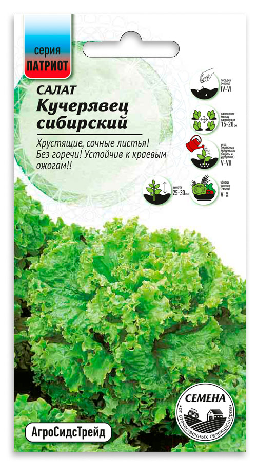

Семена Патриот Салат Кучерявец сибирский, 0,3 г