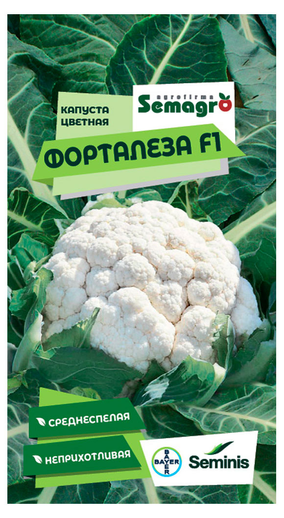 

Семена Seminis Капуста цветная Форталеза F1